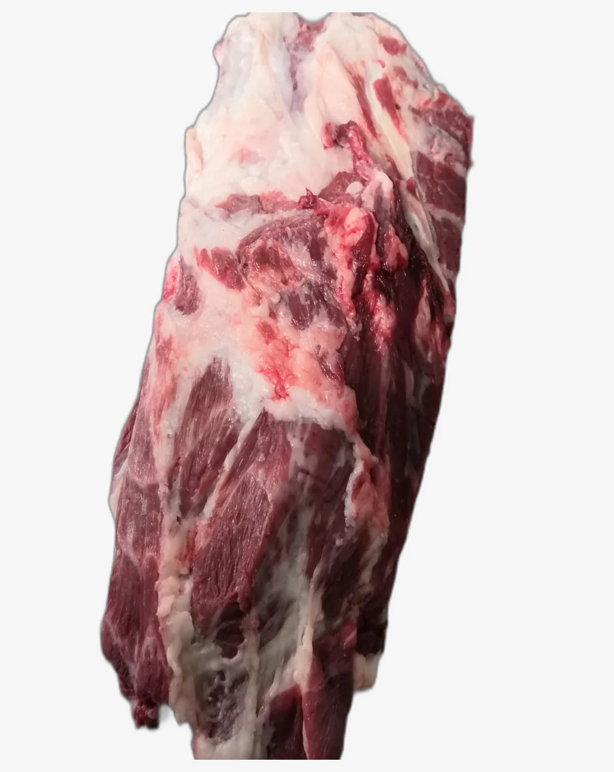 Mogote ibérico fresco de Distribuciones Lucas Guzmán Mogote ibérico fresco de Distribuciones Lucas Guzmán